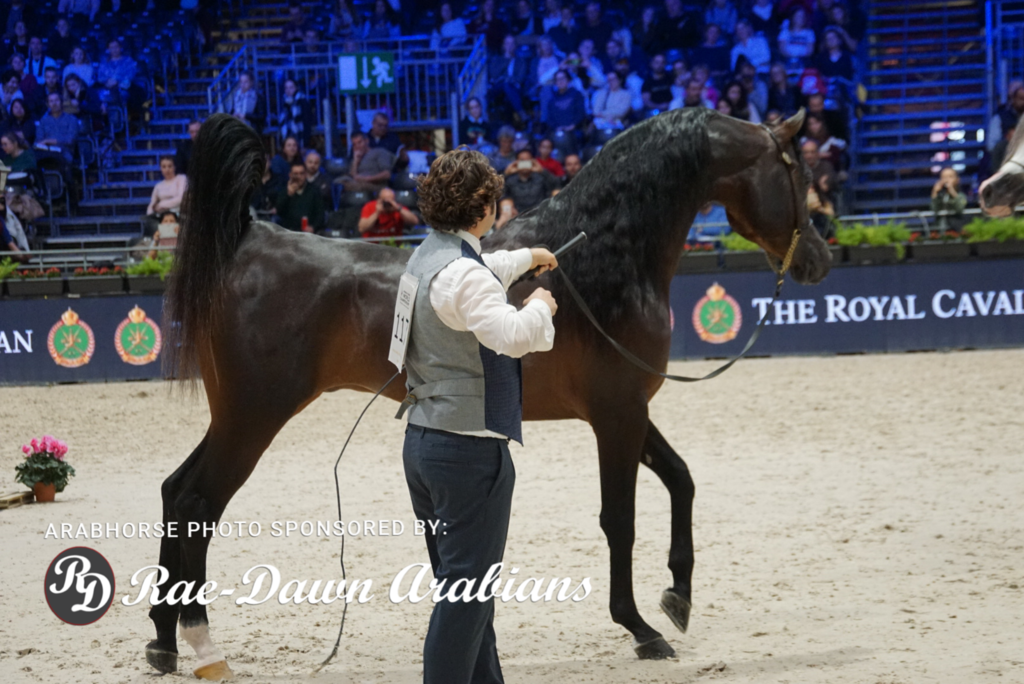 Paris World Championship 2018