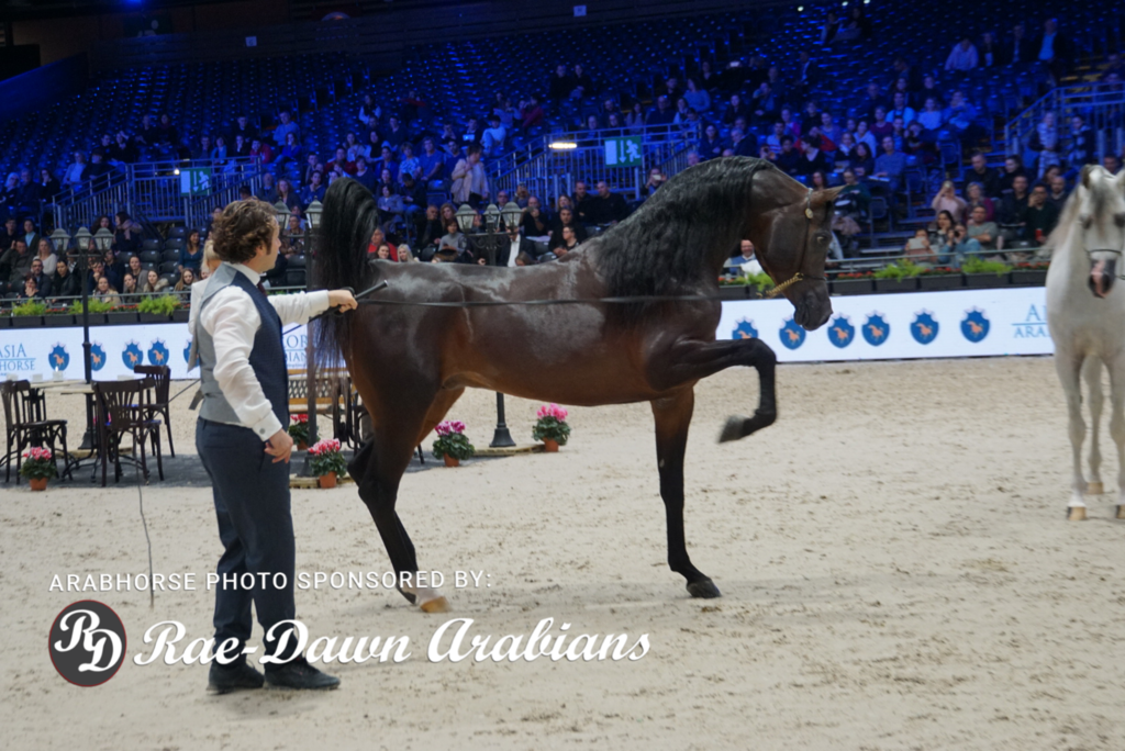 Paris World Championship 2018