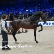 Paris World Championship 2018