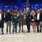 Paris World Championship 2018