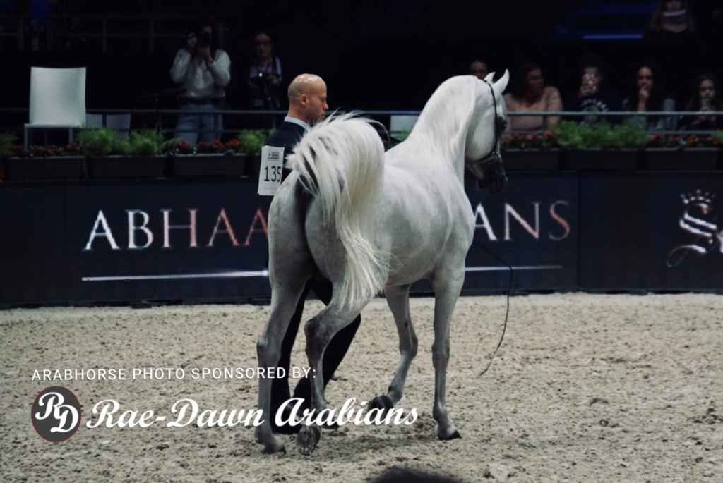 Paris World Championship 2018