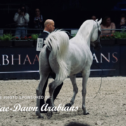 Paris World Championship 2018