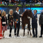 Paris World Championship 2018