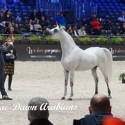 Paris World Championship 2018