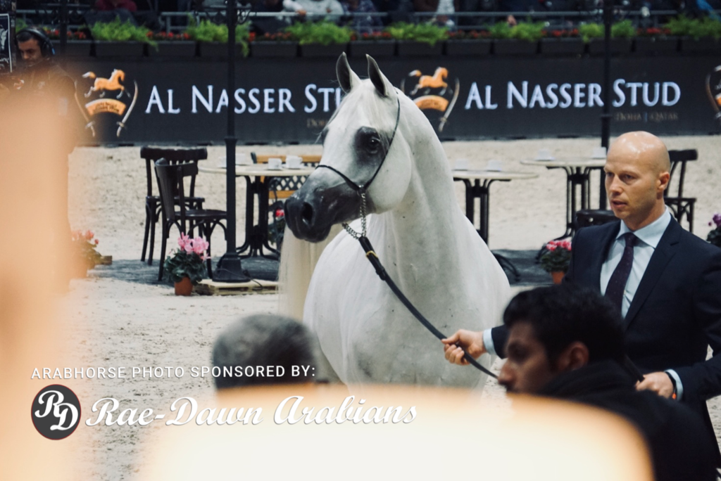 Paris World Championship 2018