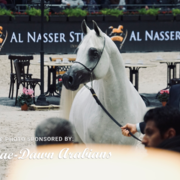 Paris World Championship 2018