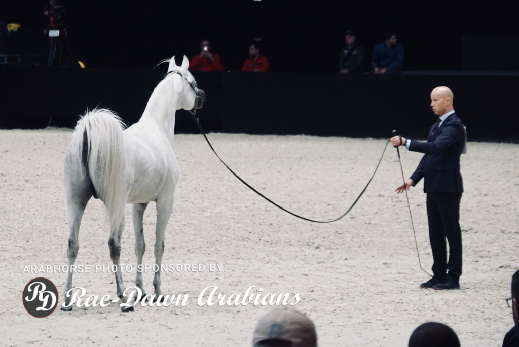 Paris World Championship 2018