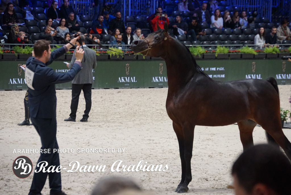 Paris World Championship 2018