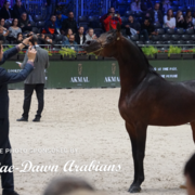 Paris World Championship 2018