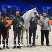 Paris World Championship 2018