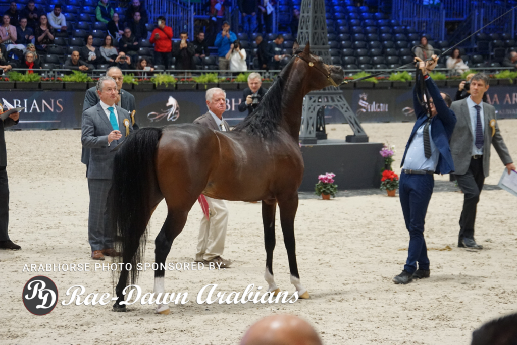 Paris World Championship 2018