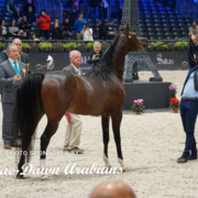 Paris World Championship 2018