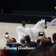 Paris World Championship 2018