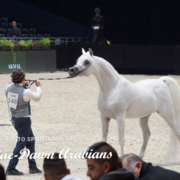 Paris World Championship 2018