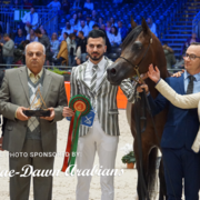 Paris World Championship 2018