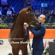 Paris World Championship 2018