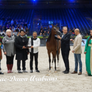 Paris World Championship 2018