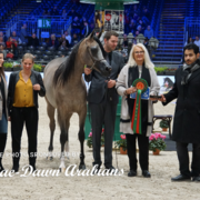 Paris World Championship 2018