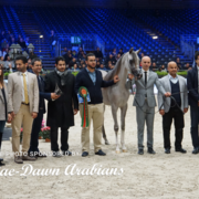 Paris World Championship 2018