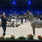 Paris World Championship 2018