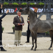 Paris World Championship 2018