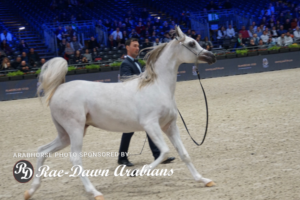 Paris World Championship 2018