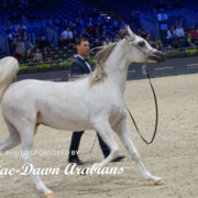 Paris World Championship 2018