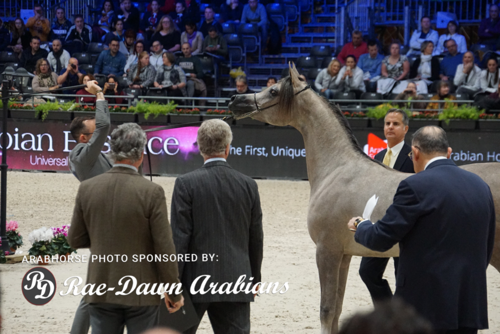 Paris World Championship 2018