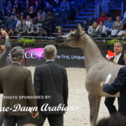 Paris World Championship 2018