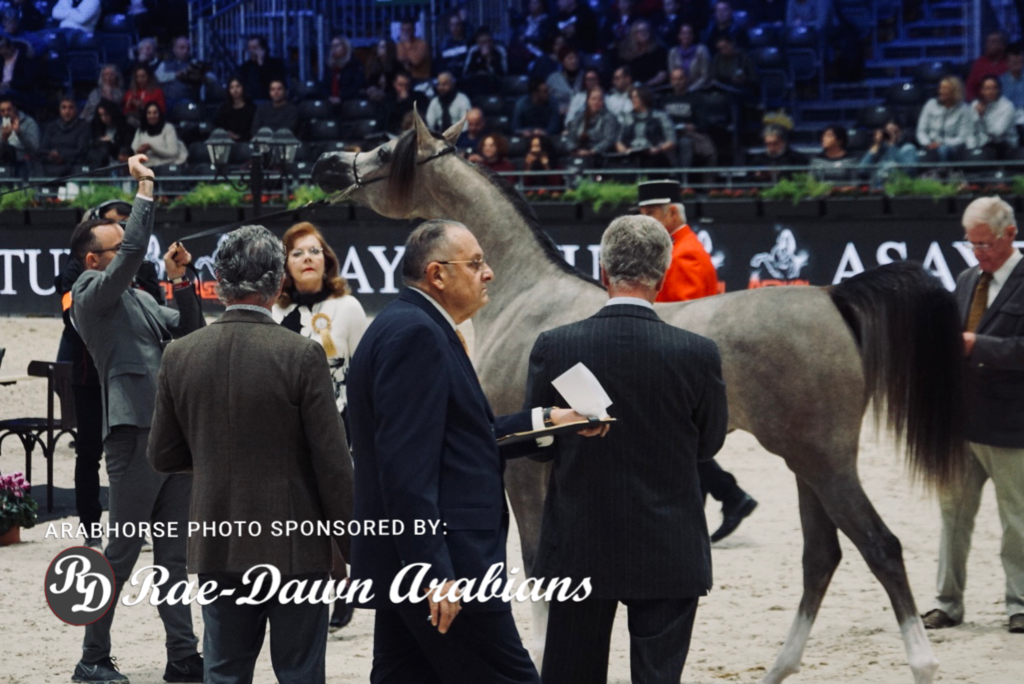 Paris World Championship 2018