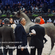 Paris World Championship 2018