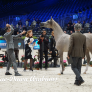 Paris World Championship 2018