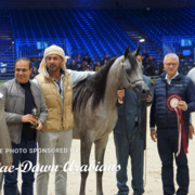 Paris World Championship 2018