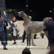 Paris World Championship 2018