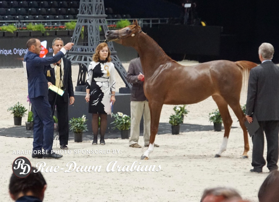 Paris World Championship 2018