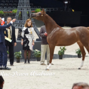 Paris World Championship 2018