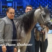 Paris World Championship 2018