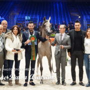 Paris World Championship 2018