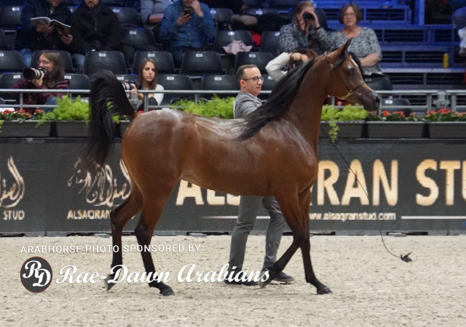 Paris World Championship 2018