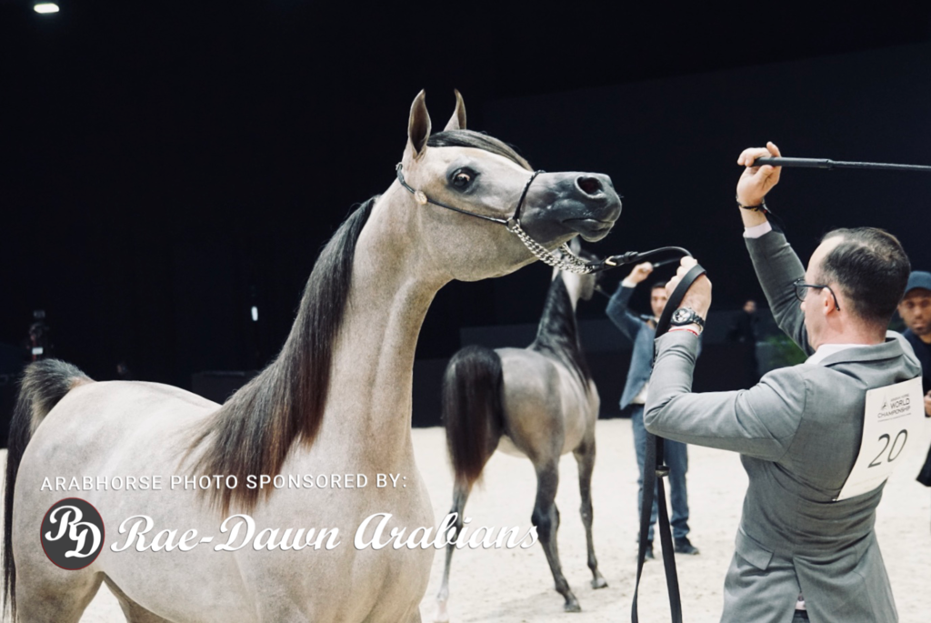 Paris World Championship 2018