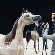 Paris World Championship 2018