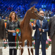 Paris World Championship 2018