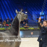 Paris World Championship 2018