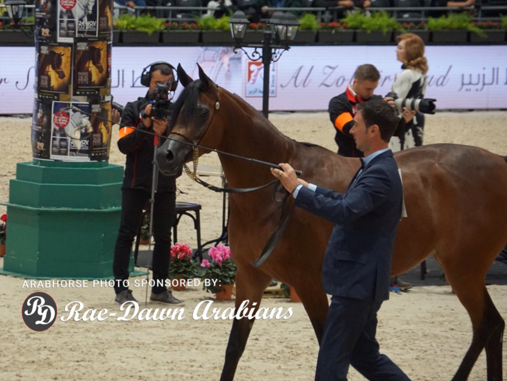 Paris World Championship 2018