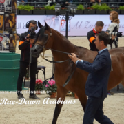 Paris World Championship 2018