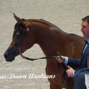 Paris World Championship 2018