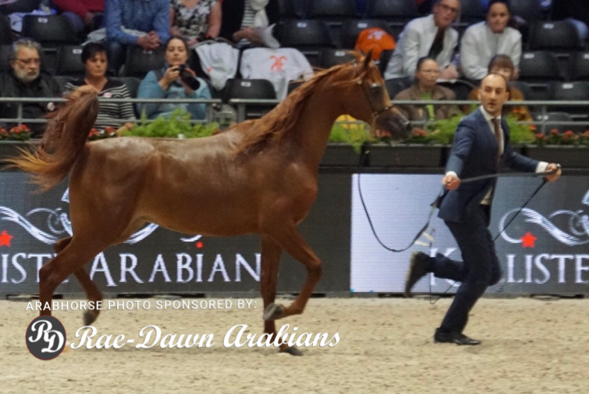 Paris World Championship 2018