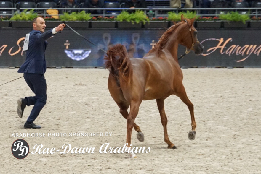 Paris World Championship 2018