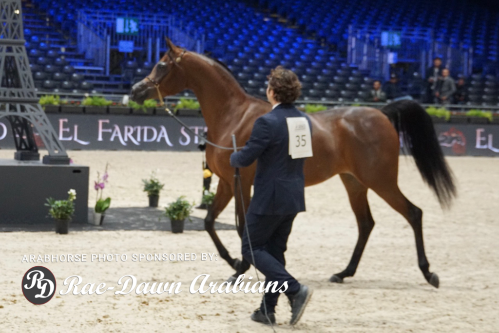 Paris World Championship 2018