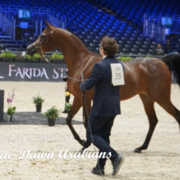 Paris World Championship 2018